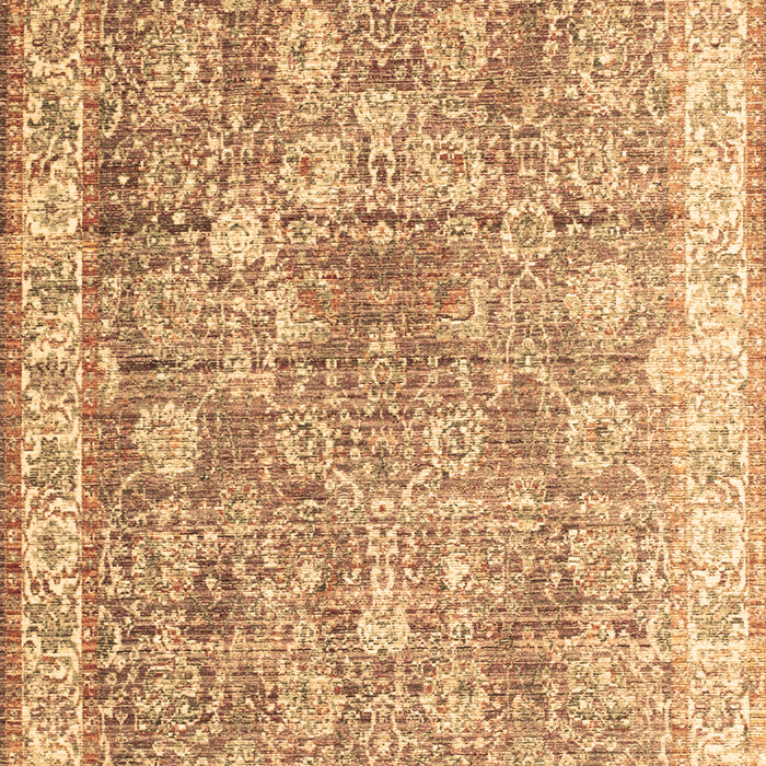 Machine Washable Persian Brown Traditional Rug, wshtr2088brn