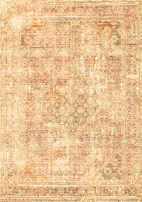 Persian Brown Traditional Rug, tr2089brn