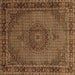 Square Persian Brown Traditional Rug, tr208brn