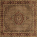 Square Machine Washable Persian Brown Traditional Rug, wshtr208brn