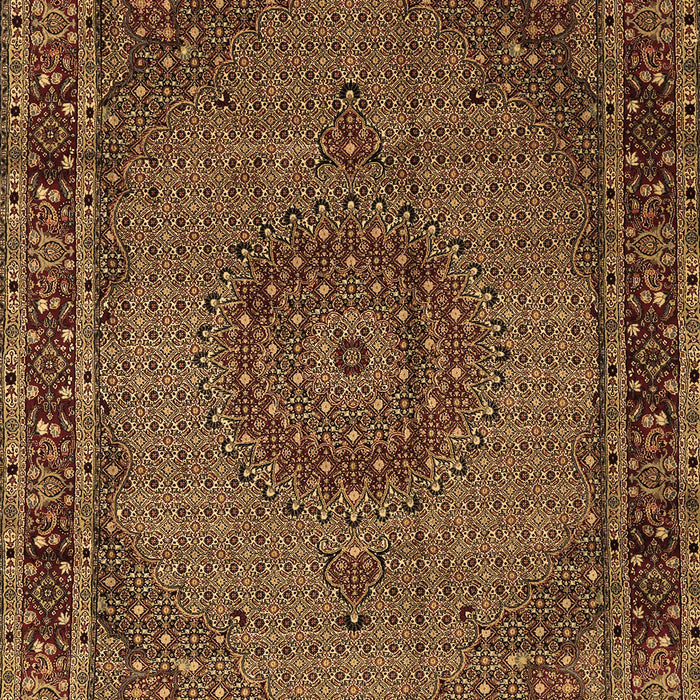 Machine Washable Persian Brown Traditional Rug, wshtr208brn