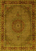 Persian Yellow Traditional Rug, tr208yw