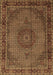 Persian Brown Traditional Rug, tr208brn