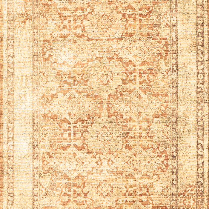 Persian Brown Traditional Rug, tr2090brn