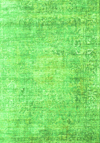 Persian Green Traditional Rug, tr2092grn