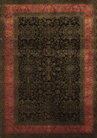 Persian Brown Traditional Rug, tr2094brn