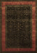 Persian Brown Traditional Rug, tr2094brn