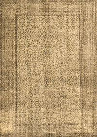 Persian Brown Traditional Rug, tr2097brn