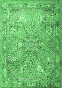 Persian Emerald Green Traditional Rug, tr2099emgrn