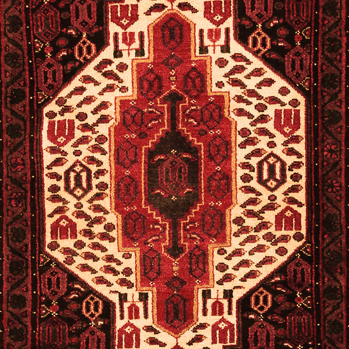 Persian Orange Traditional Rug, tr209org