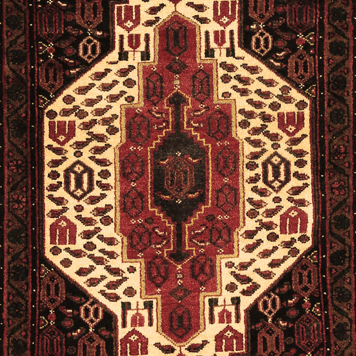Persian Brown Traditional Rug, tr209brn