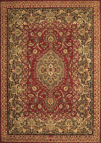 Medallion Brown Traditional Rug, tr20brn