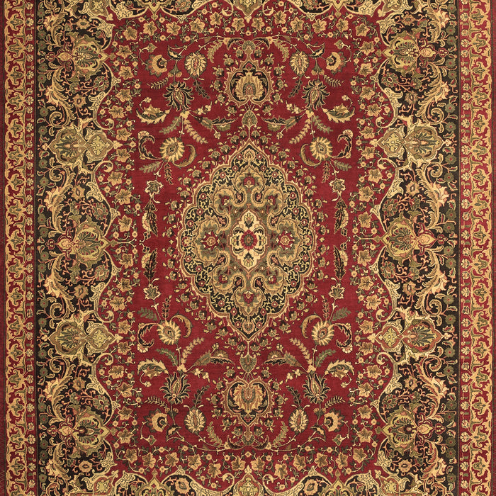 Medallion Brown Traditional Rug, tr20brn