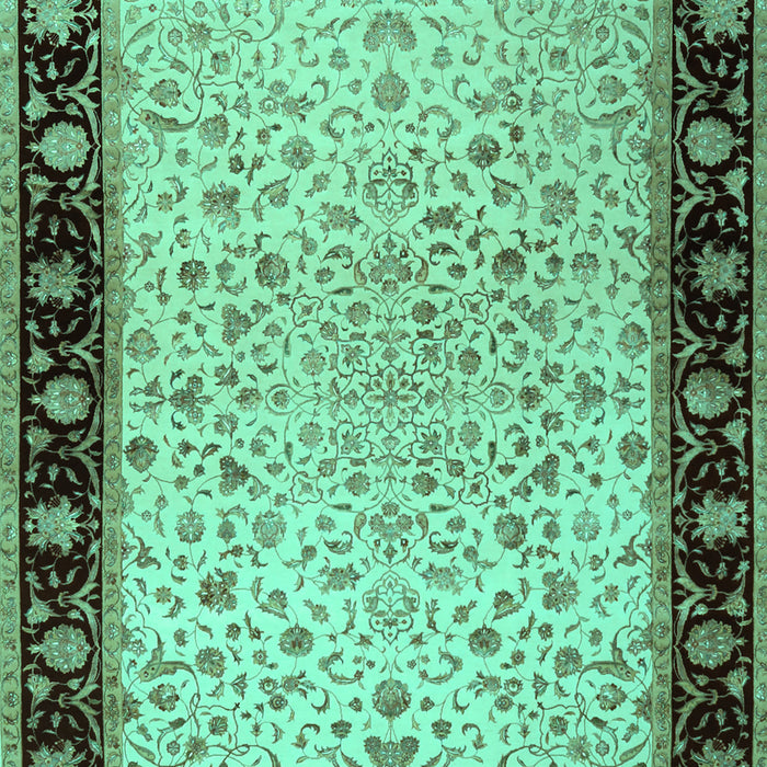 Oriental Turquoise Traditional Rug, tr2102turq