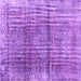 Square Persian Purple Traditional Rug, tr2104pur