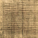 Square Persian Brown Traditional Rug, tr2104brn