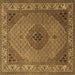 Square Medallion Brown Traditional Rug, tr2108brn