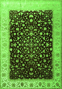 Oriental Green Traditional Rug, tr2109grn