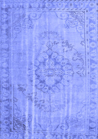 Persian Blue Traditional Rug, tr2113blu