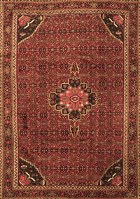 Persian Brown Traditional Rug, tr2117brn