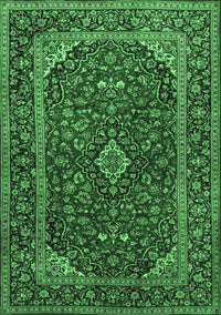 Medallion Emerald Green Traditional Rug, tr2122emgrn