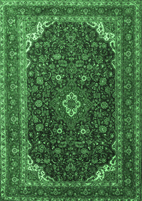 Persian Emerald Green Traditional Rug, tr2126emgrn
