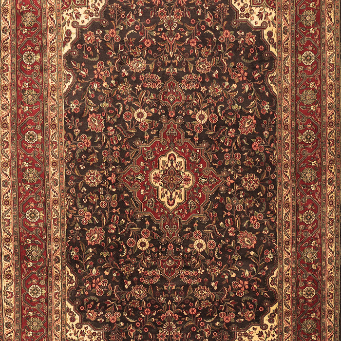 Machine Washable Persian Brown Traditional Rug, wshtr2126brn