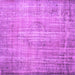 Square Persian Purple Traditional Rug, tr2127pur
