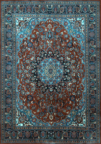 Medallion Light Blue Traditional Rug, tr2128lblu