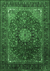 Medallion Emerald Green Traditional Rug, tr2128emgrn