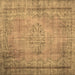 Square Persian Brown Traditional Rug, tr2133brn