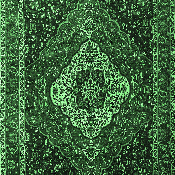 Medallion Emerald Green Traditional Rug, tr2135emgrn