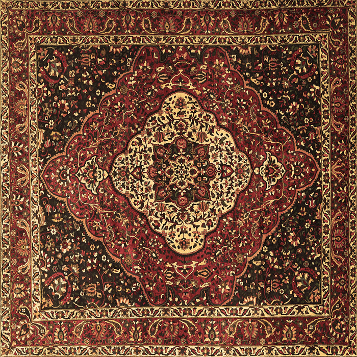 Square Medallion Brown Traditional Rug, tr2135brn