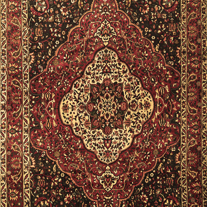 Medallion Brown Traditional Rug, tr2135brn