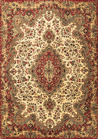 Medallion Brown Traditional Rug, tr2136brn