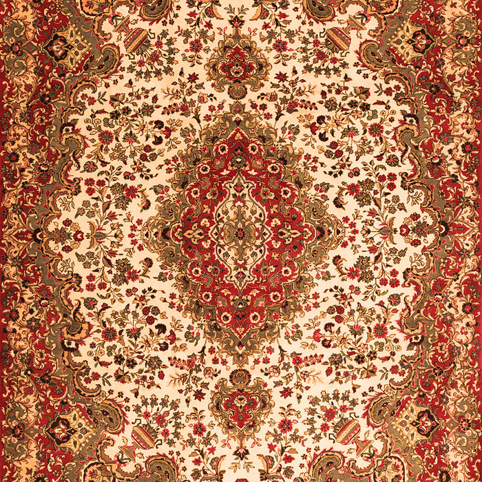 Medallion Orange Traditional Rug, tr2136org