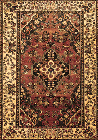 Persian Brown Traditional Rug, tr2138brn