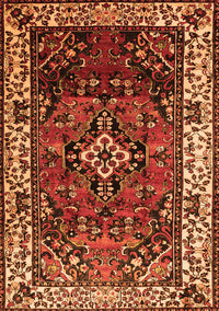 Persian Orange Traditional Rug, tr2138org