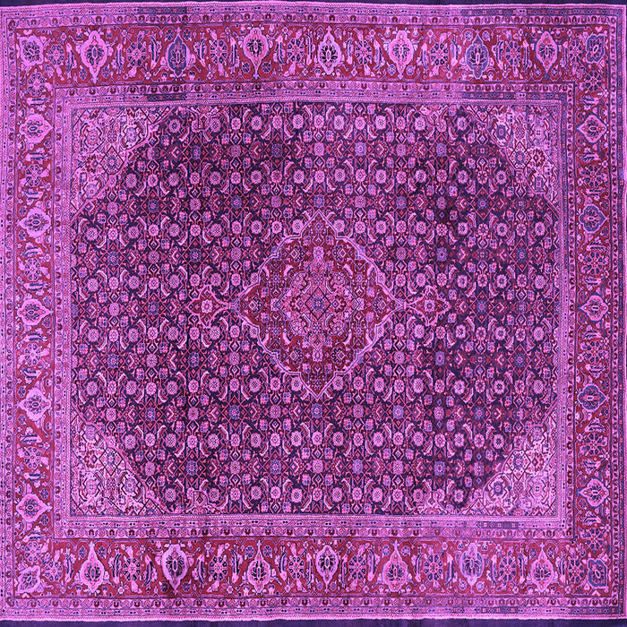 Square Persian Purple Traditional Rug, tr2139pur
