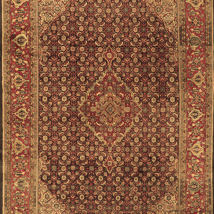 Machine Washable Persian Brown Traditional Rug, wshtr2139brn