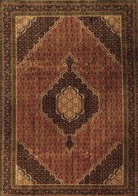 Medallion Brown Traditional Rug, tr2140brn