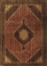 Medallion Brown Traditional Rug, tr2140brn