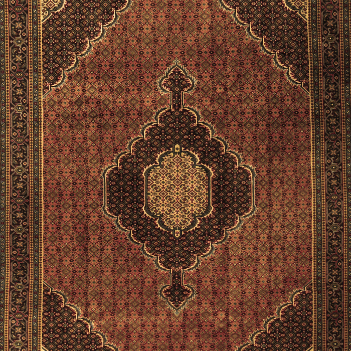 Medallion Brown Traditional Rug, tr2140brn