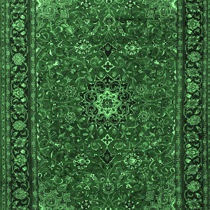 Medallion Emerald Green Traditional Rug, tr2142emgrn