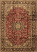 Machine Washable Medallion Brown Traditional Rug, wshtr2143brn