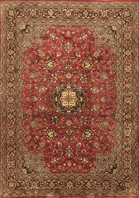 Medallion Brown Traditional Rug, tr2146brn