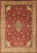 Medallion Brown Traditional Rug, tr214brn