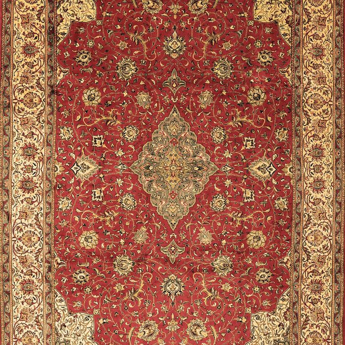 Medallion Brown Traditional Rug, tr214brn