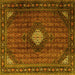 Square Persian Yellow Traditional Rug, tr2151yw