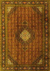 Persian Yellow Traditional Rug, tr2151yw